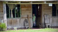 boy and his dog�